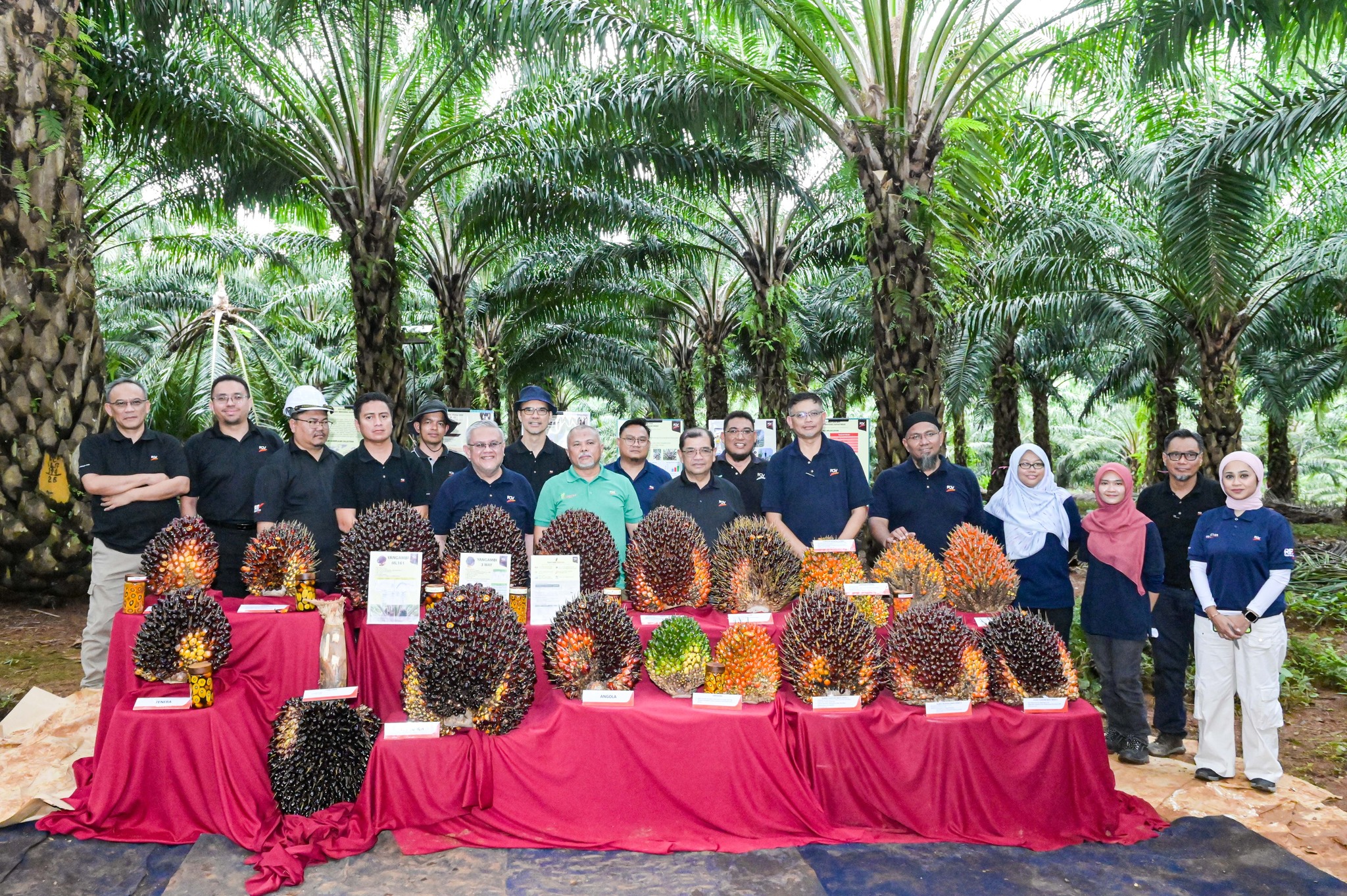 Pendapat: Mengharungi Gelombang dengan Ketahanan – FGV Agri Services Sdn Bhd Peneraju Perdagangan Global, Dipacu oleh Kepakaran dan Komitmen Warga Kami
